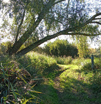 Beccles Riverside Path